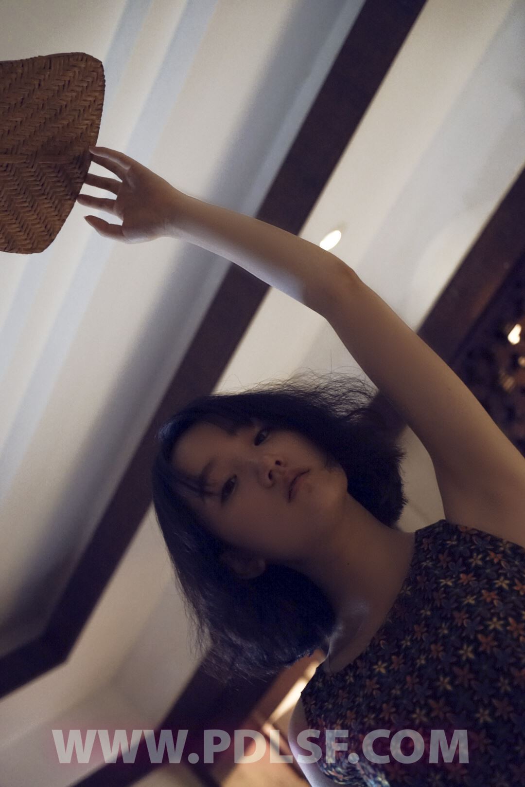 PDL潘多拉 2020.03.02 专辑No.282